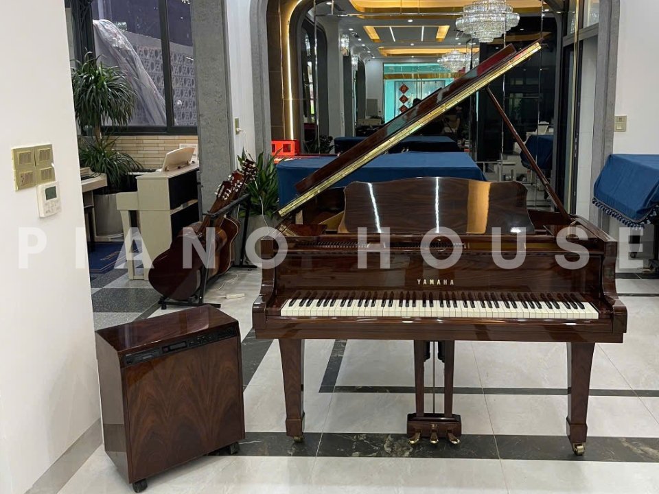 YAMAHA C3B PW Autoplay - Ảnh thực tế 3